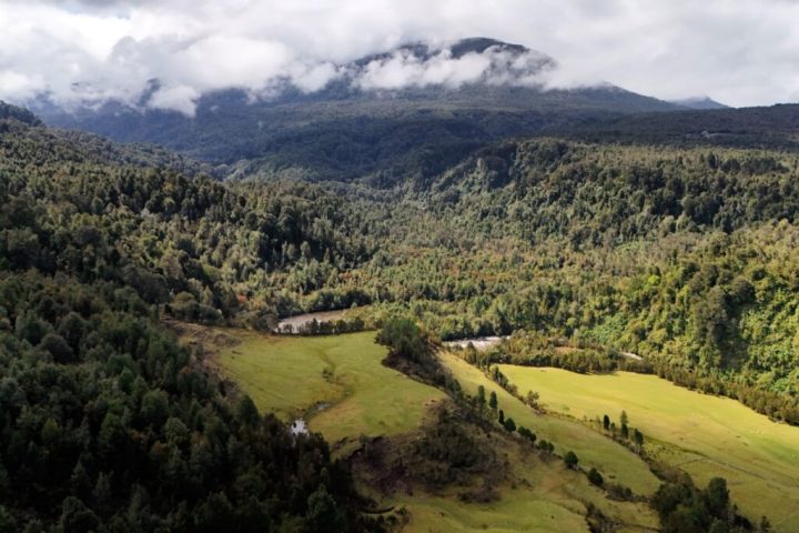 Monte-Verde-Debate-Reshapes-Early-Human-Timeline