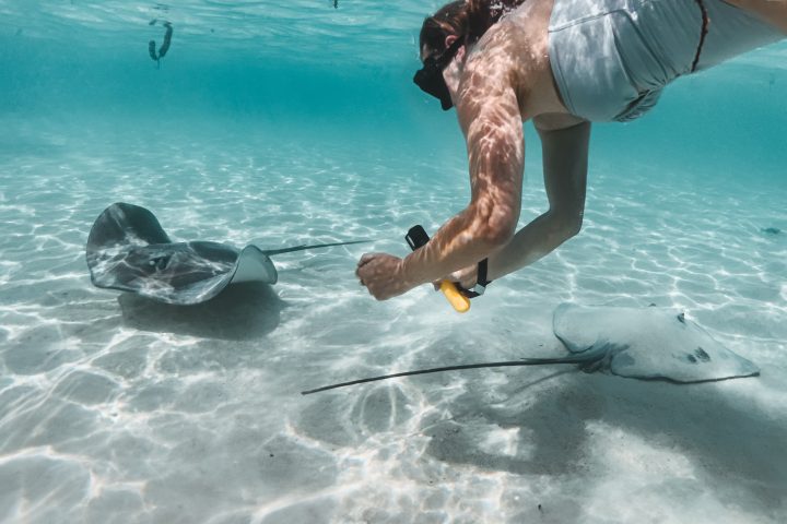 moorea’s-coral-reefs-face-a-silent-crisis