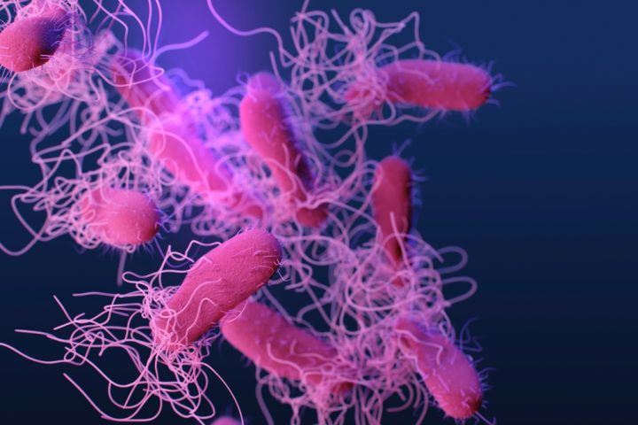 salmonella-outbreak-linked-to-ramona-market