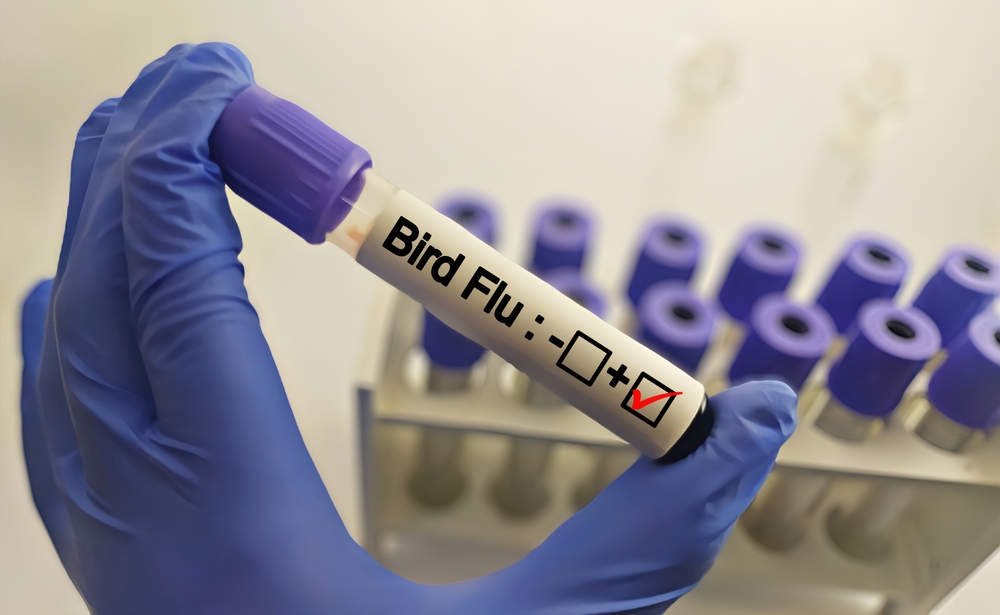 h5-bird-flu-spreads-as-australia-reports-mass-bird-deaths