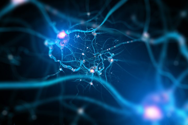 Study Identifies a Circadian Depression Subtype